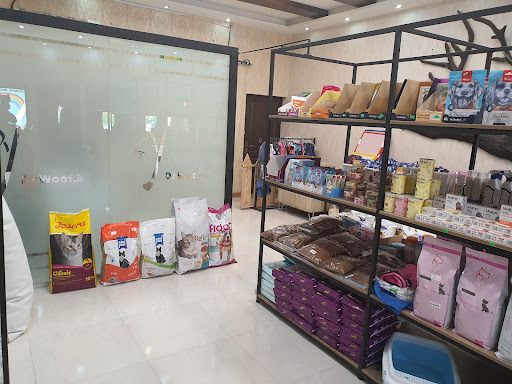 کلینیک دامپزشکی لاهیجان