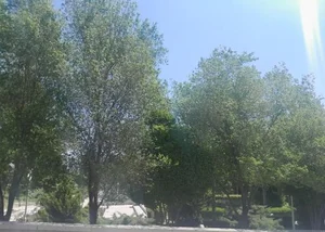 بوستان ملت 5