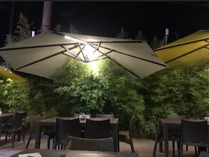 دلوین کباب