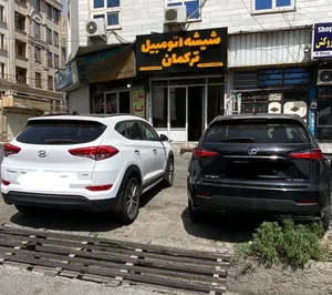 شیشه اتومبیل ترکمان 4