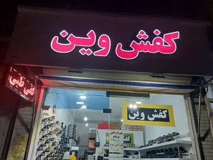 کفش وین 4