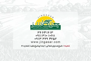 برنج جینگاسر 5