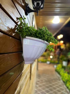 باغ رستوران مجلل ستاره ماهان