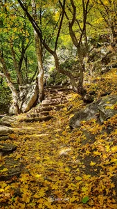 مسیر دره به قلعه بابک