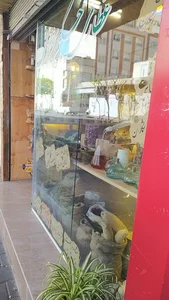 دلنیا پرواز