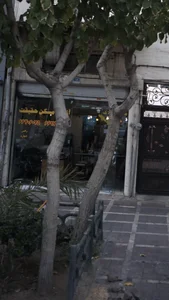 آژانس مسکن حقیقت
