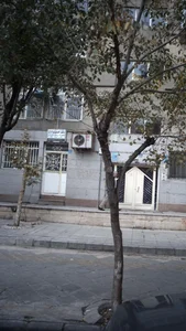 دکتر حسین برادرذان 2