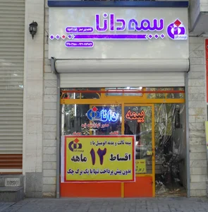 بیمه دانا
