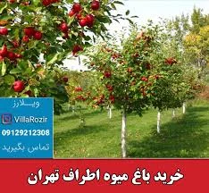 بوستان لاله