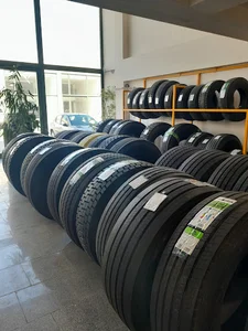 تیزرو تایر شاهگلی