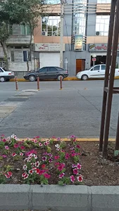 موسسه آموزش زبان سروش