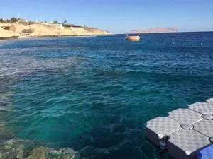 Sharks Bay Oasis 2 Bedrooms Apartment with Panoramic Sea View & Private Beach