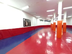 باشگاه آیکیدو 2