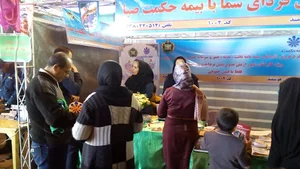 بیمه حکمت