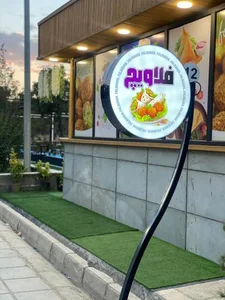 فلاویچ 3