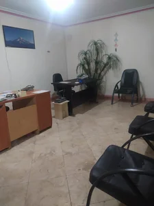 نیکو حامیان همراه