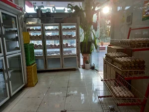 مرغ وماهی جانبازان