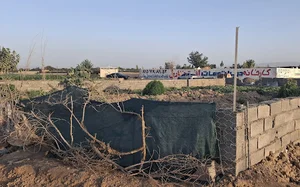 باغ محمد برومند