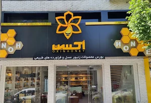 فروشگاه اکسین