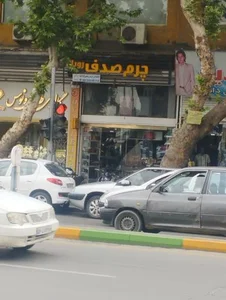 چرم صدف 2