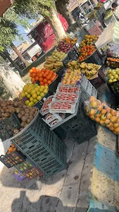 میوه فروشی ابوعلی
