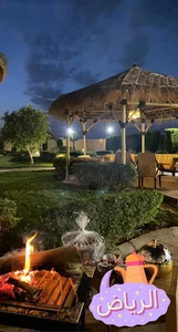 دانة بنبان