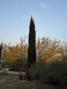 بوستان میثاق
