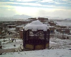 کافینت آریانا