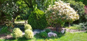 باغچه رامش پرخچه