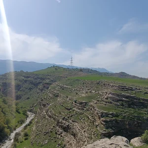 پَ ل کرم الله