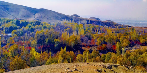 چشمه آهکی قانلی‌ وری