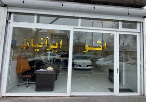 Auto Iranian