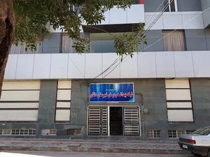 شبکه بهداشت موقت