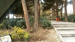 بوستان کیهان