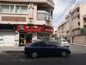 الکتریکی رونیکس