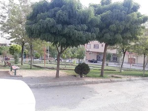 پارک