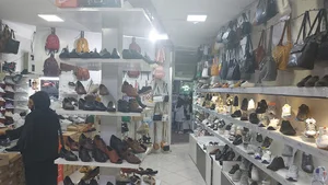 Salvador bags and shoes