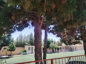 مدرسه دبستان پسرانه سیدالشهدا واحد پاسداران