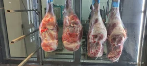 بازار بزرگ پرتوین .گوشت. مرغ دروازه کازرون