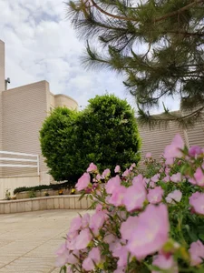 دکتر شفیعی 3
