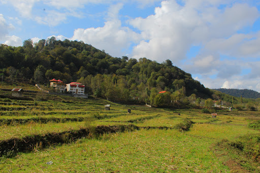 روستای پاشاکلا