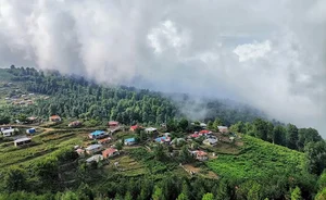 املاک تالش