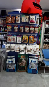کلینیک دامپزشکی پالس