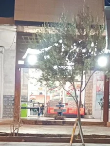 ساندویچ امیر