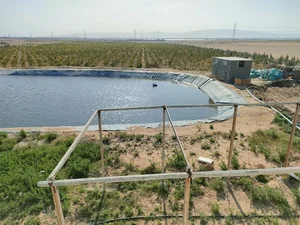 مزرعة المستشار/ رضا عبدالعال