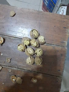خشکبار و عسل زعفرانلو