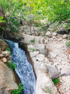 تفرجگاه مرغک رونیز