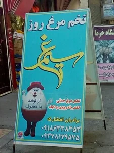 عمده فروشی تخم مرغ برادران افشاری