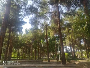 پارک 17 شهریور سمنان 2