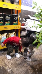 اتو سرویس ایرانول/ فرخنده زا